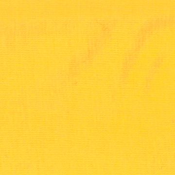 Elastic Spl. mais 100/200