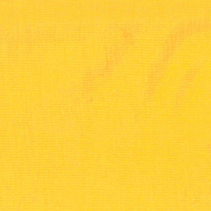 Elastic Spl. mais 100/200