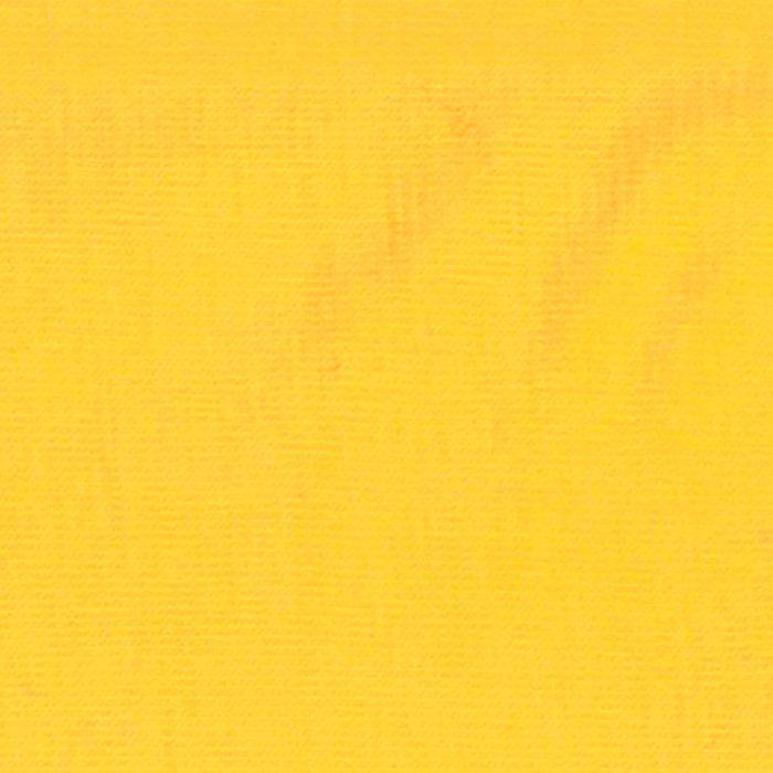 Elastic Spl. mais 100/200