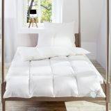 Daunenbett 155x220